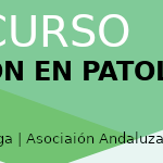 XVI CURSO DE ACTUALIZACIÓN EN PATOLOGÍA AUTOINMUNE DE LA AADEA